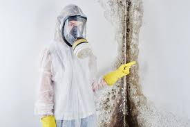 Best Comprehensive Air Testing for Mold Contaminants  in Savoy, IL